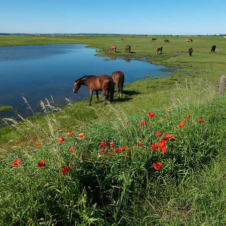 Ostsee Residenz Meeresblick Bellevue Insel Poel Exteriör bild