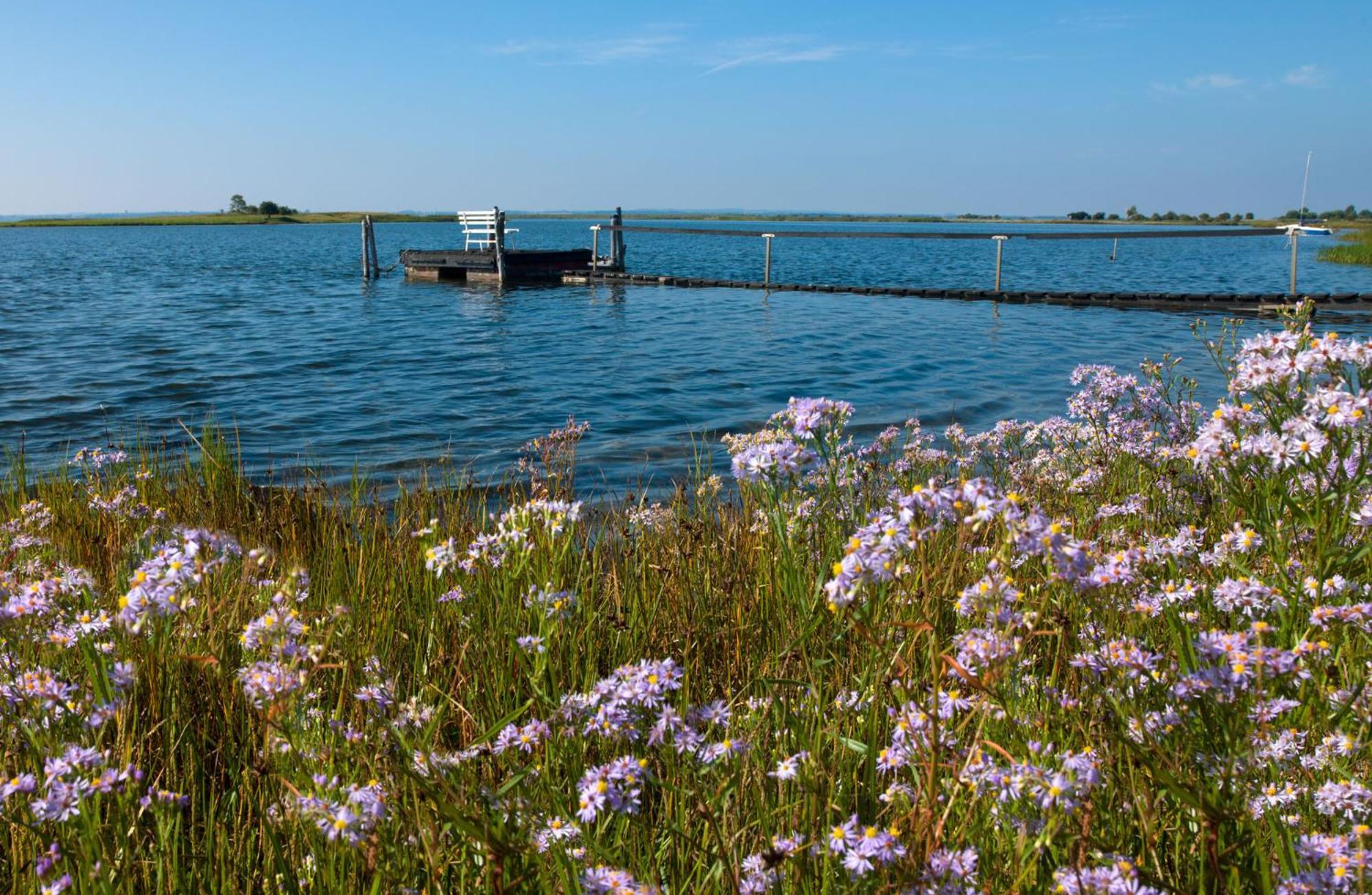 Ostsee Residenz Meeresblick Bellevue Insel Poel Exteriör bild